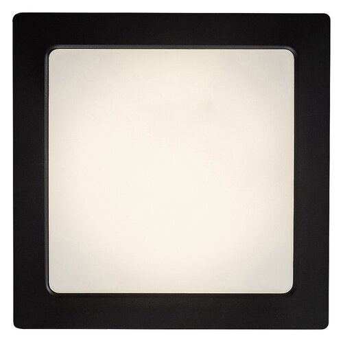 Shaun2 (71202)