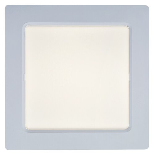 Shaun2 (71238)
