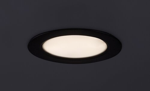 Shaun2 (71241)